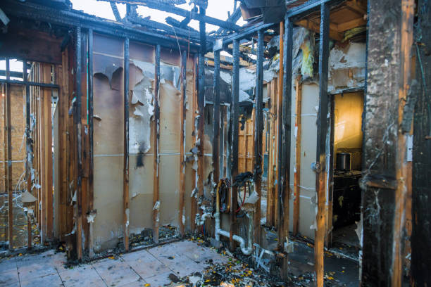 Professional Fire Damage Removal technician working in Tremonton, UT